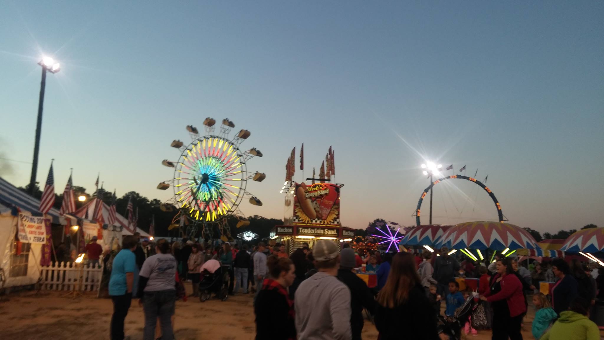Read more about the article Videos from the 2015 Fair
